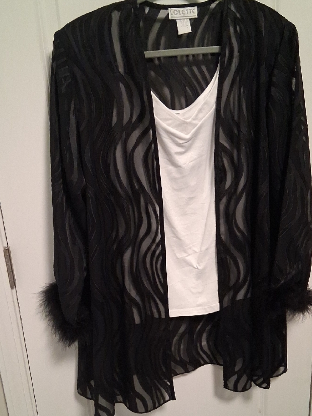 Black Sheer Wave-Pattern Robe with Feather Trim - Picture 3 of 4